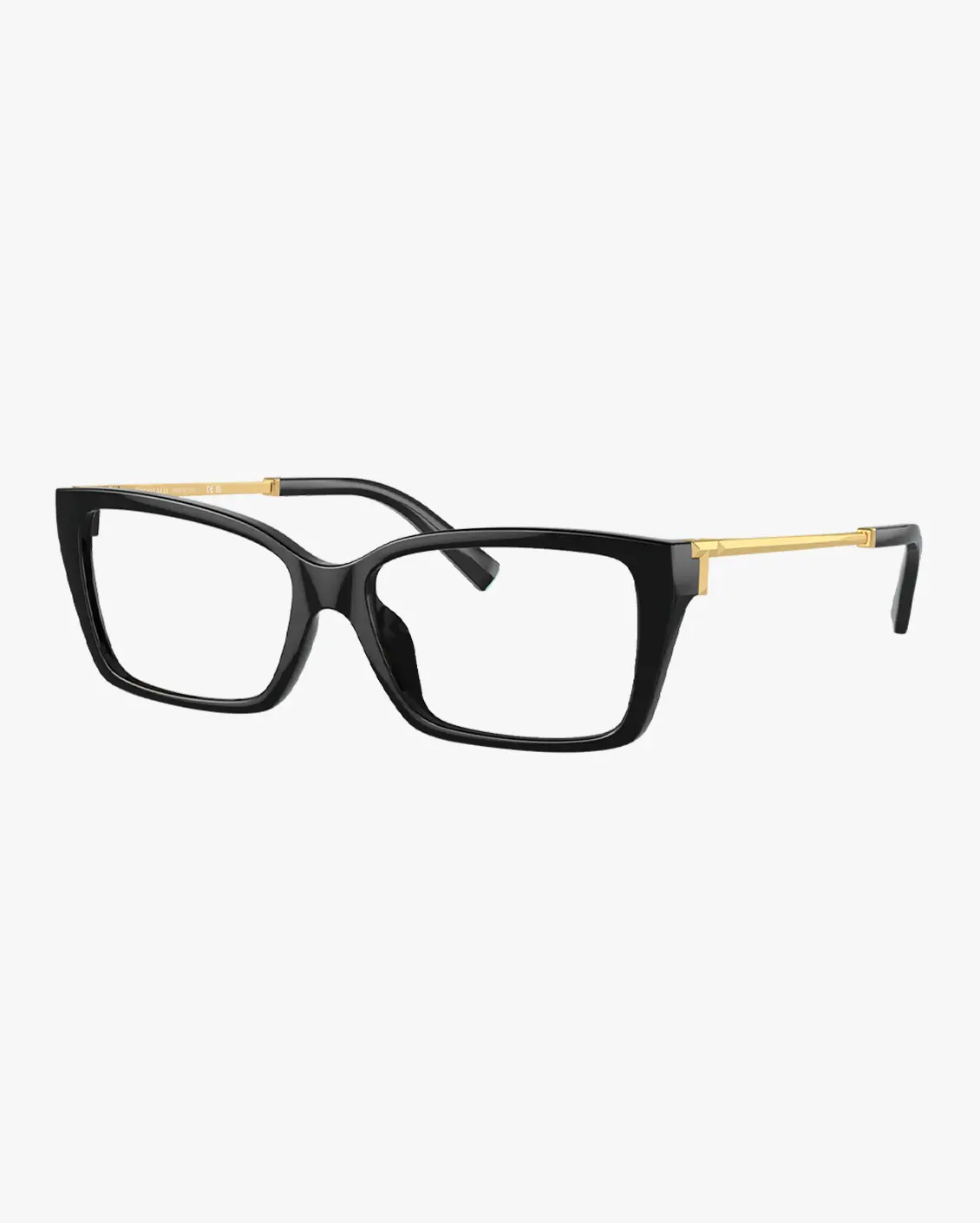 Rectangle Eyeglasses in Black