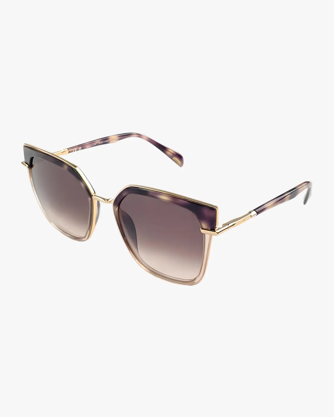 Square Sunglasses in Brown